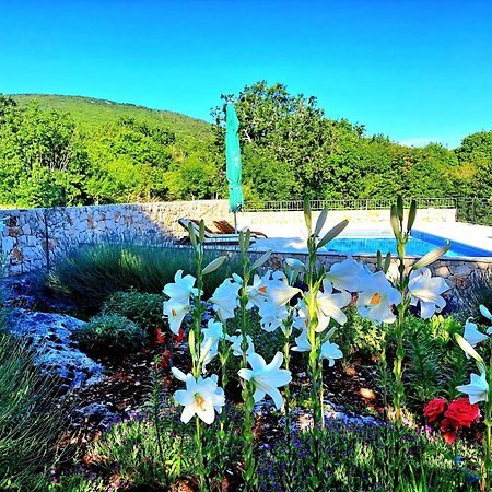 Relaxing Dalmatian house in village Ljubitovica Exteriör bild