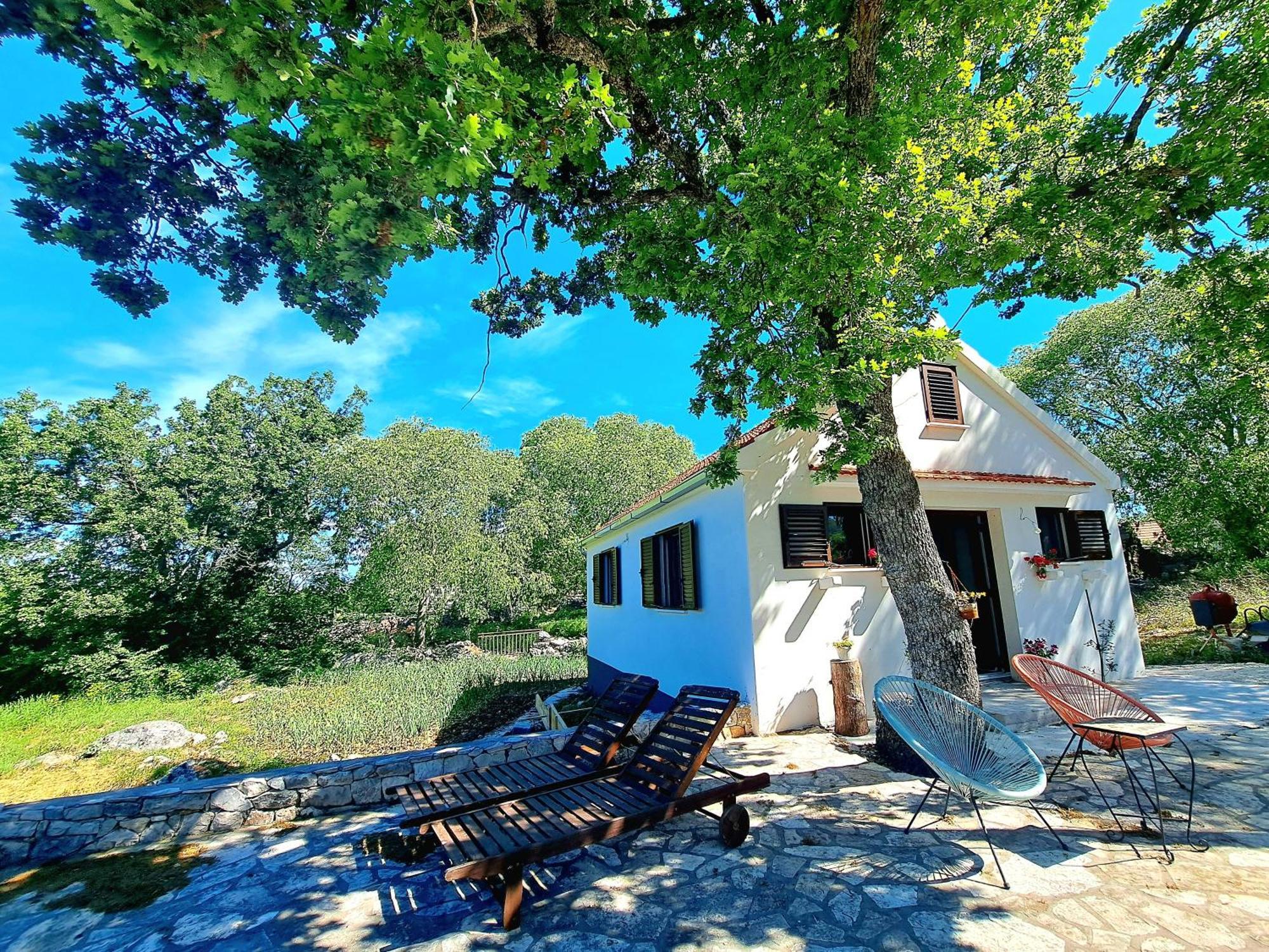 Relaxing Dalmatian house in village Ljubitovica Exteriör bild